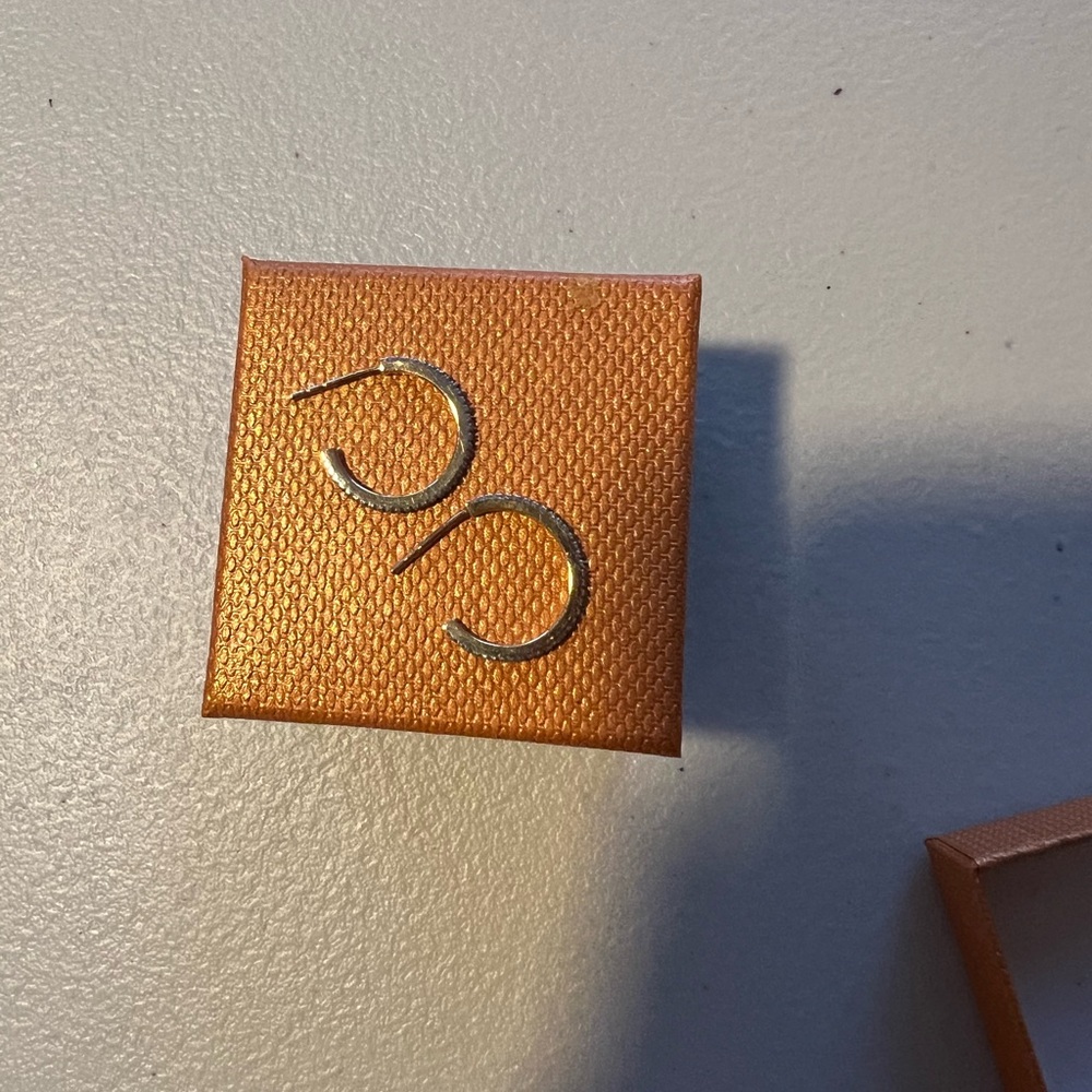 14K Gold Plated Diamond Hoop Earrings